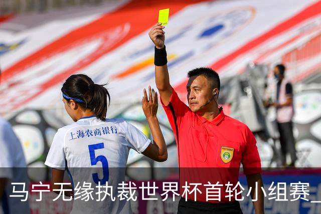 马宁无缘执裁世界杯首轮小组赛 中国裁判三人组仅傅明亮相